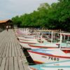 Laguna de la Restinga