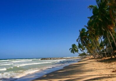 PLAYA GUACUCO