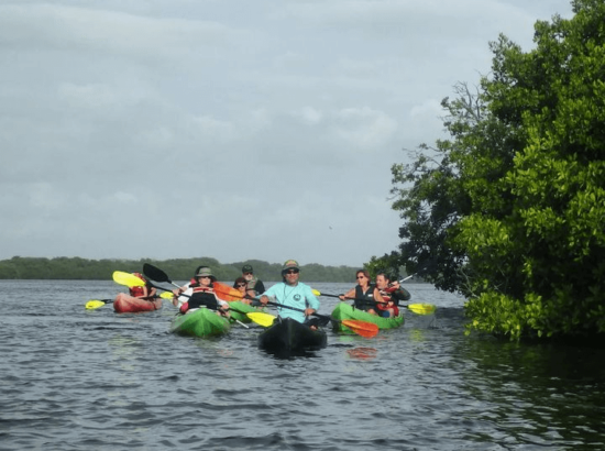 KAYAK MARGARITA 