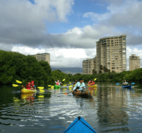 KAYAK MARGARITA