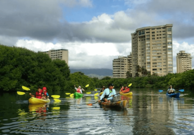 KAYAK MARGARITA