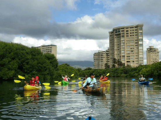 KAYAK MARGARITA 