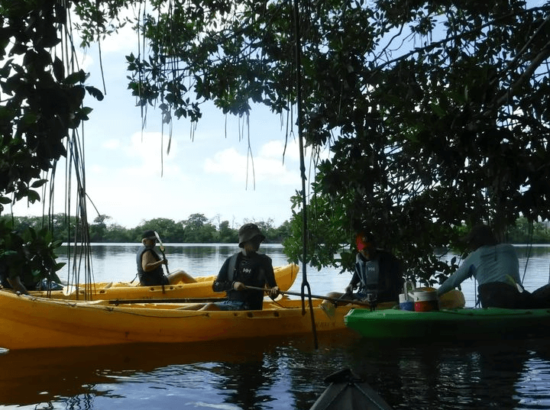 KAYAK MARGARITA 